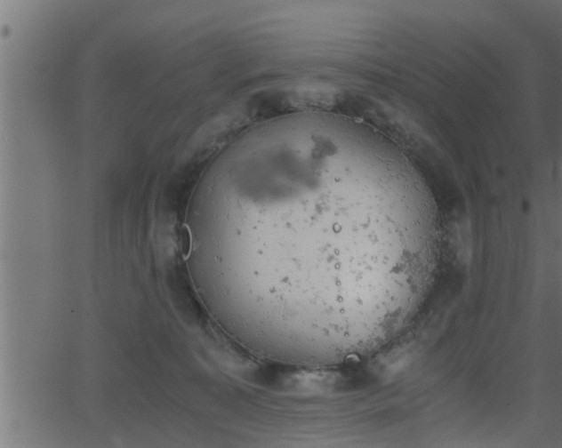 X0000062870323200601171428