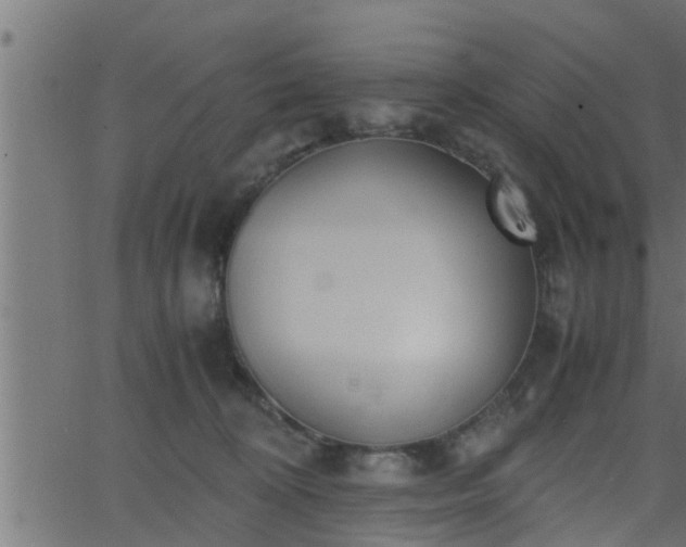 X0000062870324200601171428