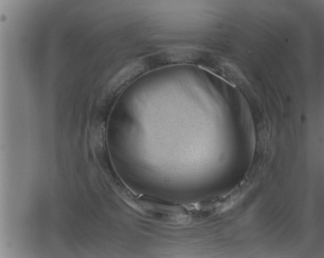 X0000062870325200601171428