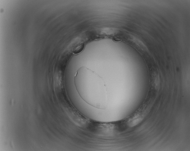 X0000062870328200601171428