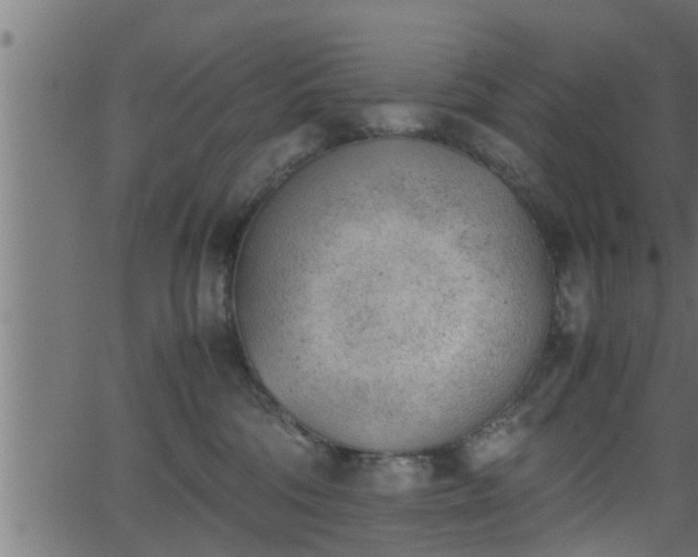 X0000062870330200601171428