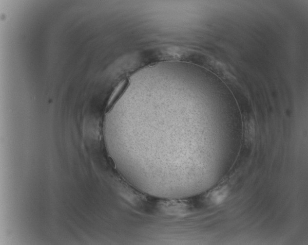 X0000062870331200601171428