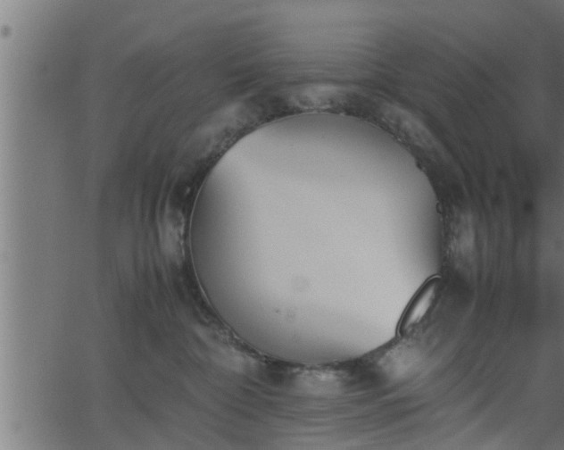 X0000062870332200601171428