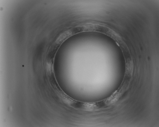 X0000062870333200601171428