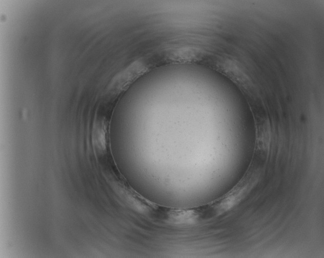 X0000062870334200601171428