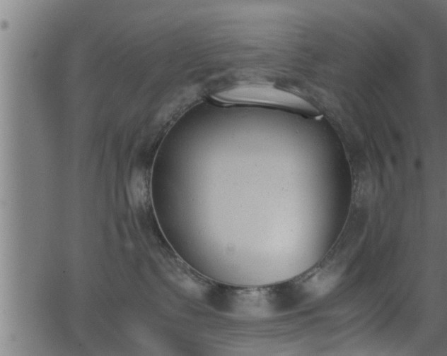 X0000062870335200601171428