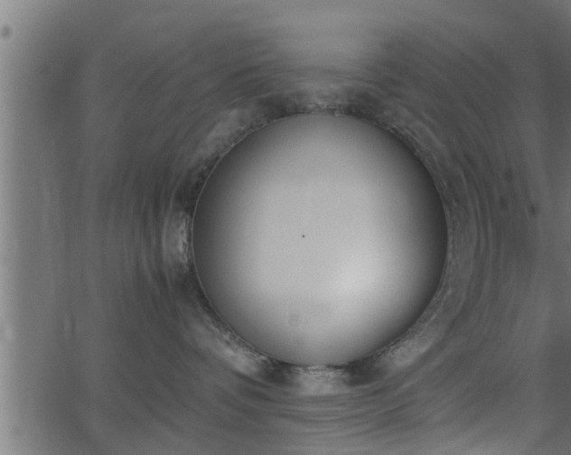 X0000062870336200601171428