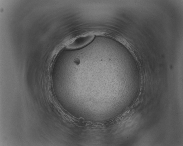 X0000062870337200601171427