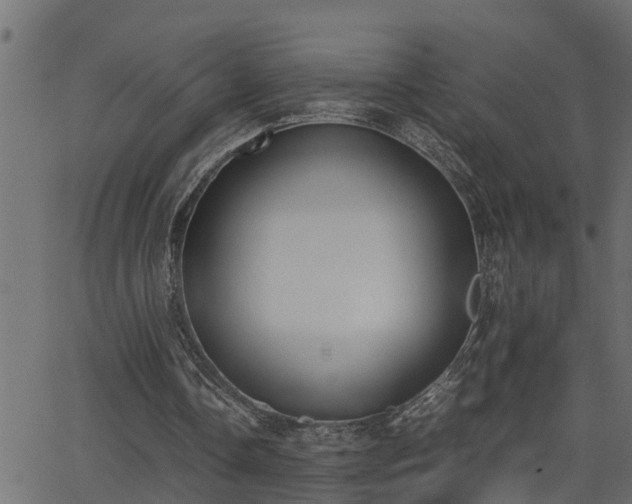 X0000062870338200601171427