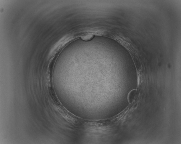 X0000062870339200601171427