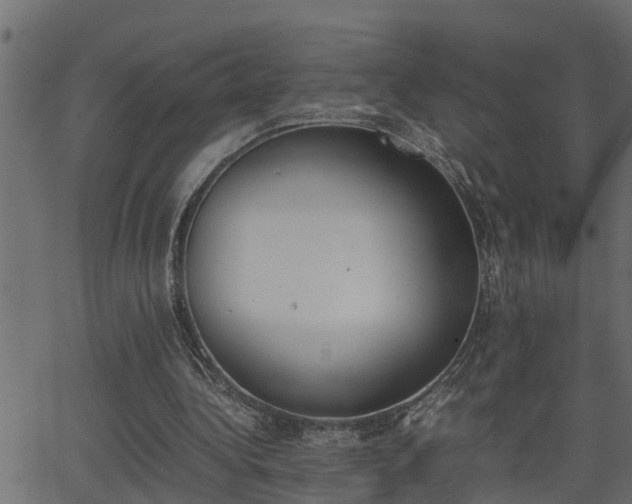 X0000062870340200601171427