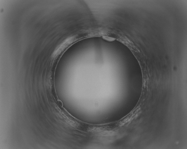 X0000062870341200601171427