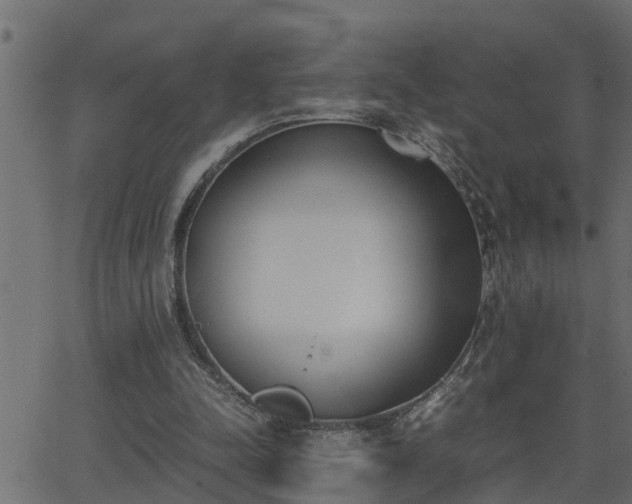 X0000062870342200601171427