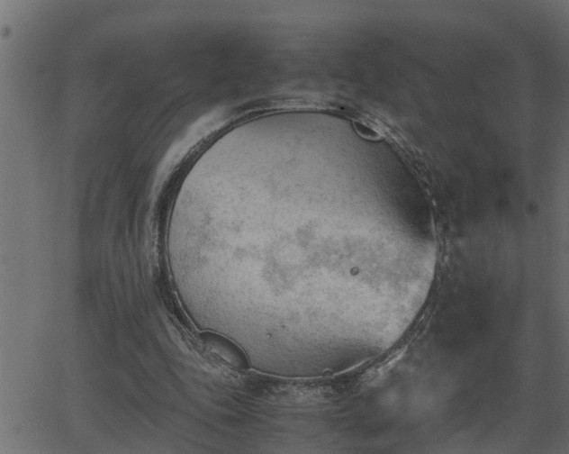 X0000062870343200601171427