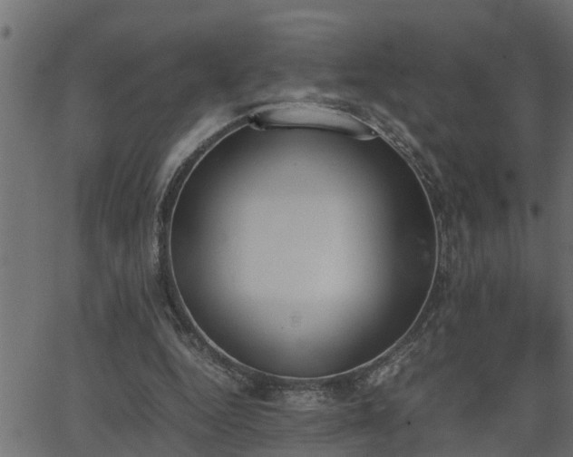 X0000062870344200601171427