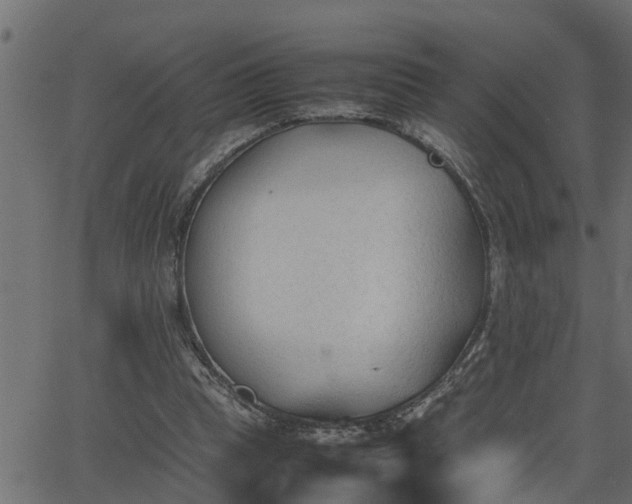 X0000062870345200601171427