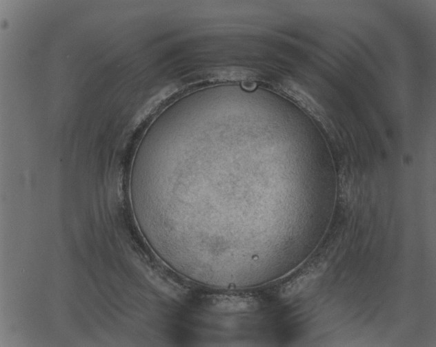 X0000062870347200601171427