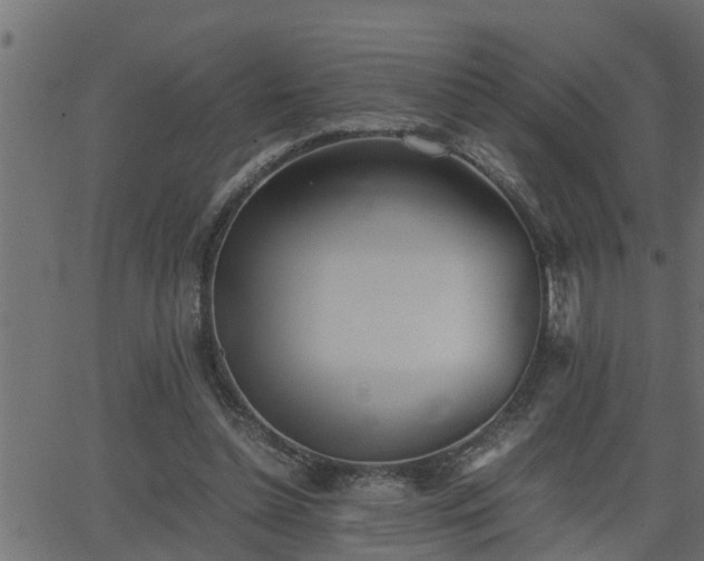 X0000062870348200601171427