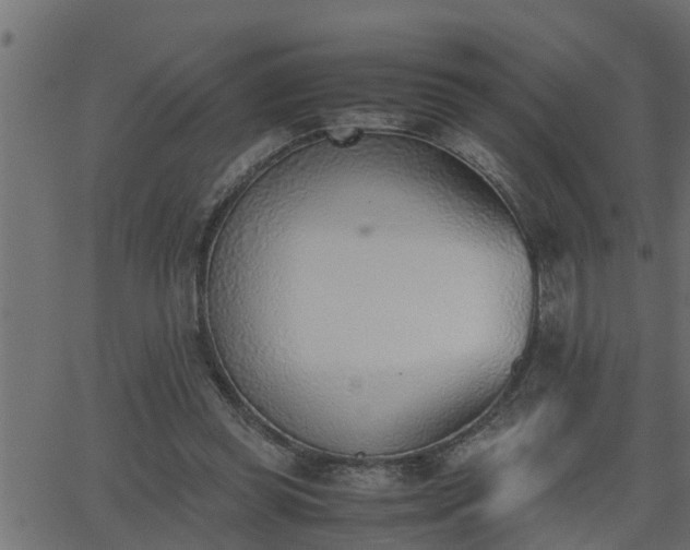 X0000062870349200601171427