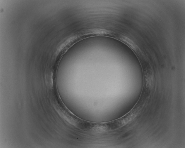 X0000062870350200601171427