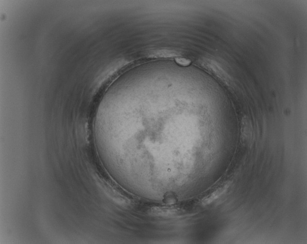 X0000062870351200601171427