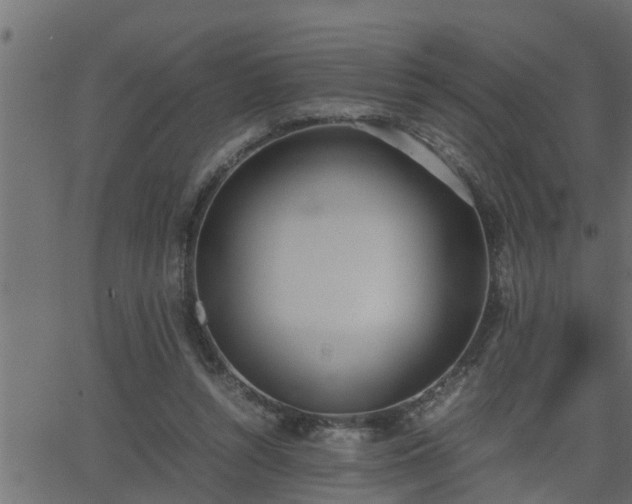 X0000062870352200601171427