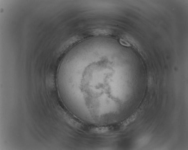 X0000062870353200601171427