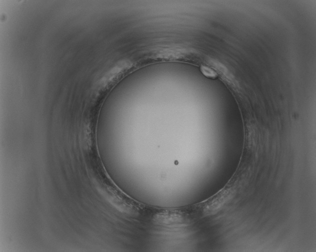 X0000062870354200601171427