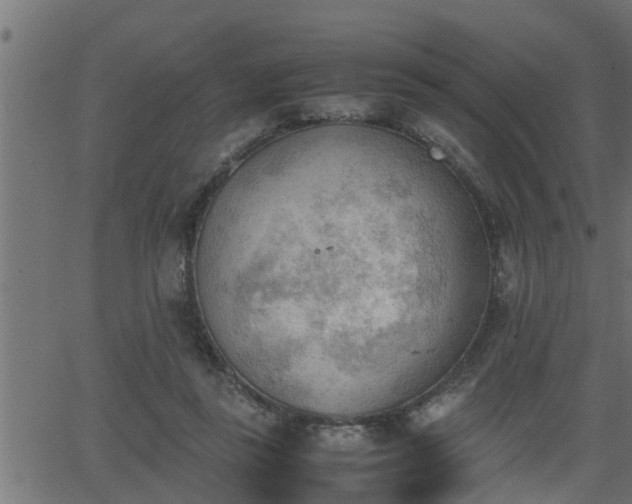 X0000062870355200601171427