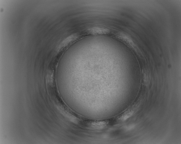 X0000062870357200601171427