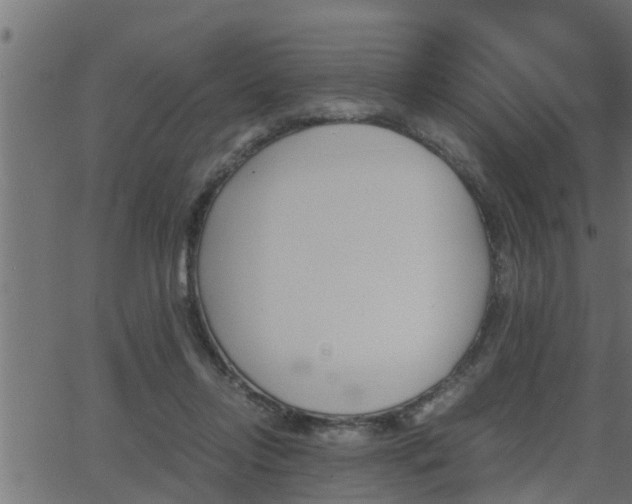 X0000062870358200601171427