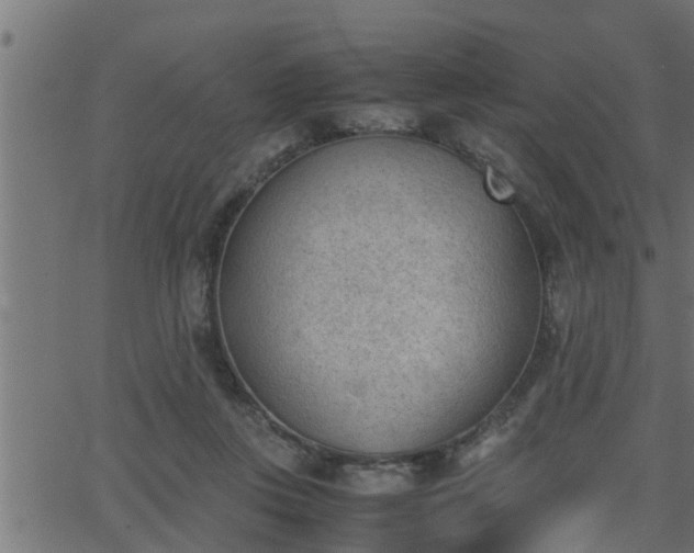 X0000062870359200601171427