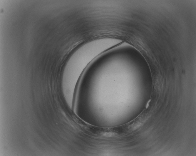 X0000062870360200601171427