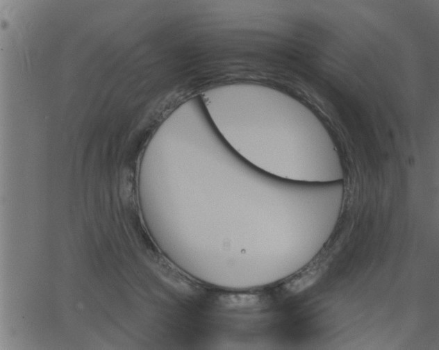 X0000062870361200601171427