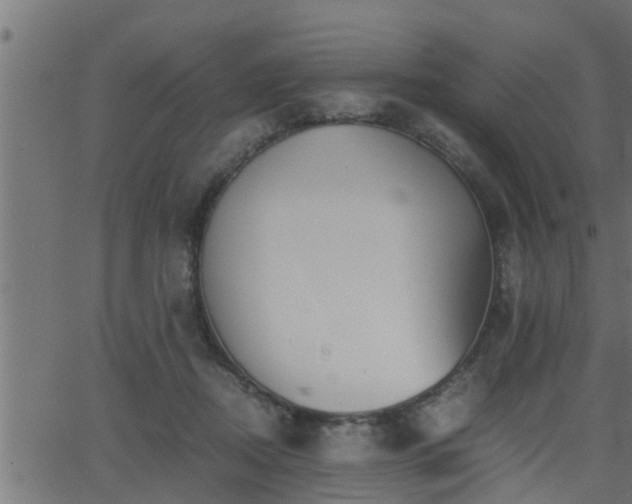 X0000062870362200601171427