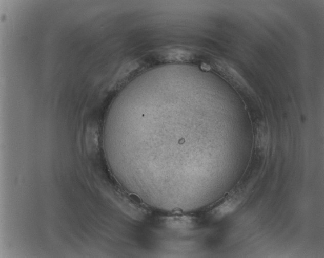 X0000062870363200601171427