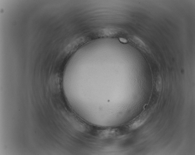 X0000062870366200601171427