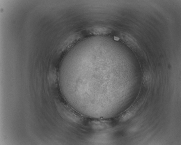 X0000062870367200601171427