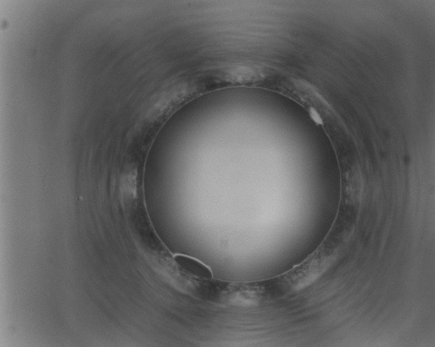 X0000062870368200601171427