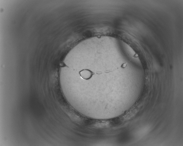 X0000062870369200601171427