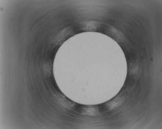 X0000062870370200601171427