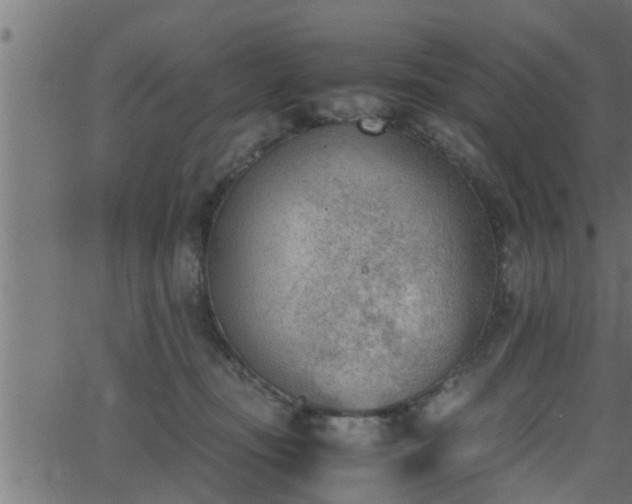 X0000062870371200601171427