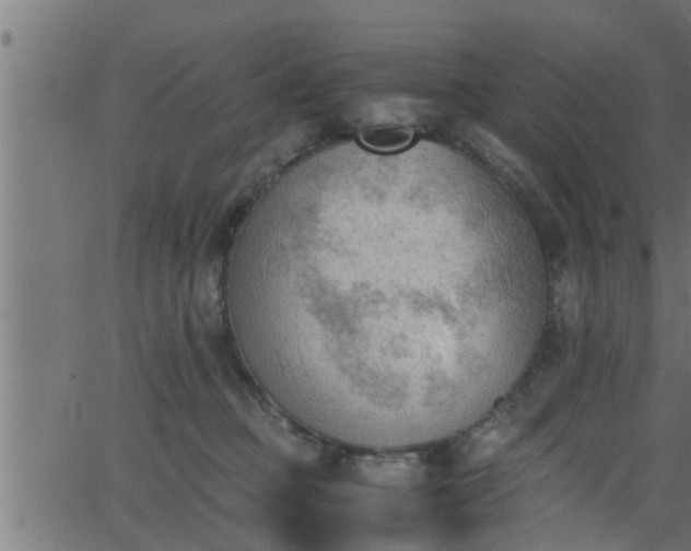 X0000062870373200601171428