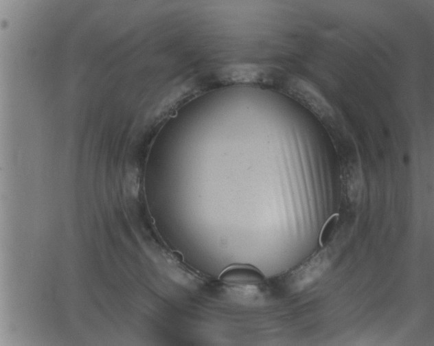 X0000062870374200601171428