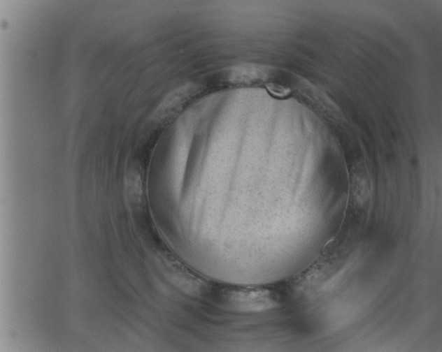 X0000062870375200601171428