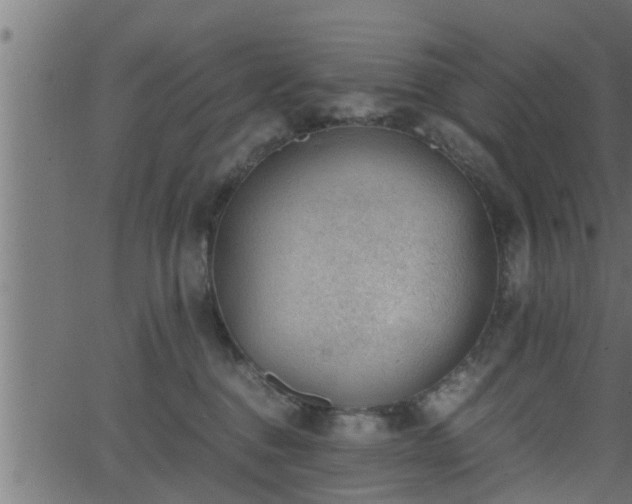 X0000062870376200601171428