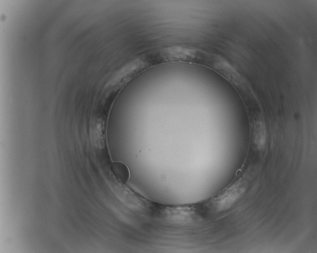 X0000062870378200601171428