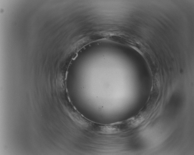 X0000062870380200601171428