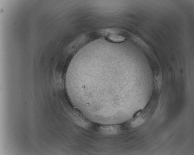 X0000062870381200601171428