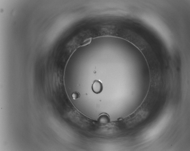 X0000062870382200601171428